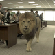Imagen para el artículo titulado The Wolf of Wall Street, una película plagada de efectos especiales